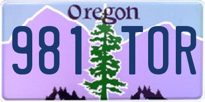 OR license plate 981TOR