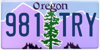 OR license plate 981TRY