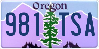 OR license plate 981TSA