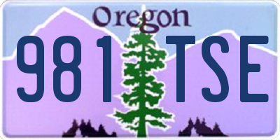 OR license plate 981TSE