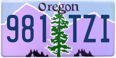 OR license plate 981TZI