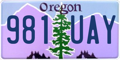 OR license plate 981UAY