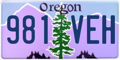 OR license plate 981VEH