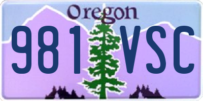 OR license plate 981VSC