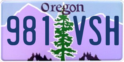 OR license plate 981VSH