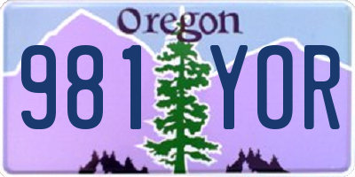 OR license plate 981YOR
