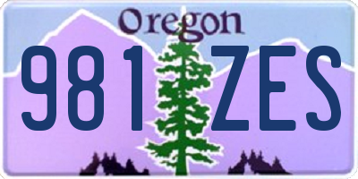 OR license plate 981ZES