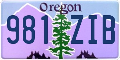 OR license plate 981ZIB