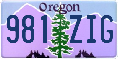 OR license plate 981ZIG