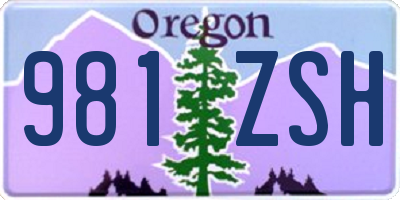 OR license plate 981ZSH