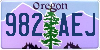 OR license plate 982AEJ