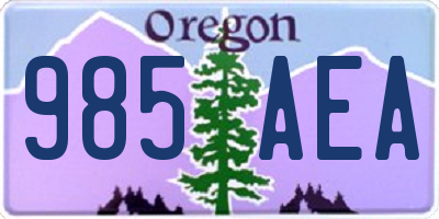 OR license plate 985AEA