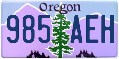 OR license plate 985AEH
