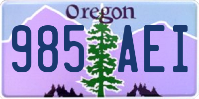 OR license plate 985AEI
