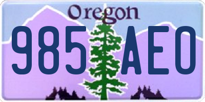 OR license plate 985AEO