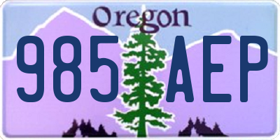 OR license plate 985AEP