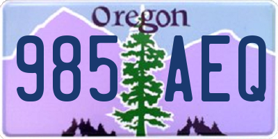 OR license plate 985AEQ