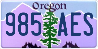OR license plate 985AES