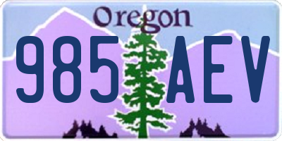 OR license plate 985AEV