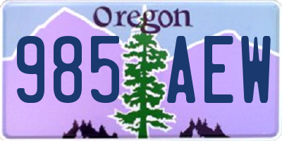 OR license plate 985AEW