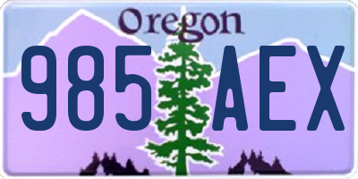 OR license plate 985AEX