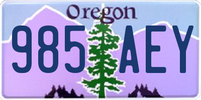 OR license plate 985AEY
