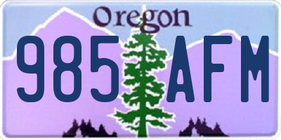 OR license plate 985AFM