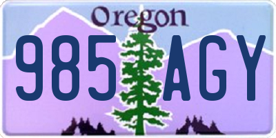 OR license plate 985AGY