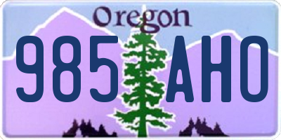 OR license plate 985AHO