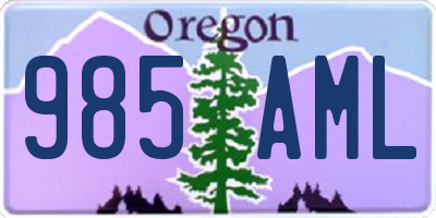 OR license plate 985AML