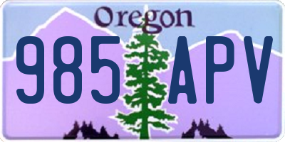 OR license plate 985APV