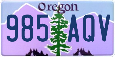 OR license plate 985AQV