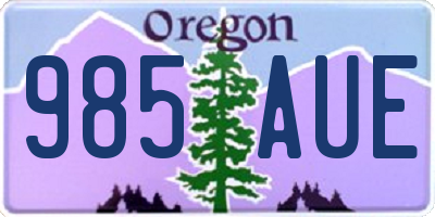 OR license plate 985AUE
