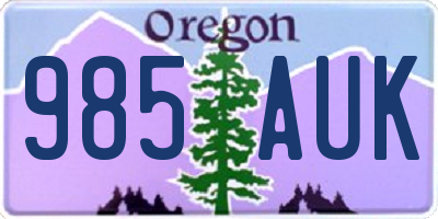 OR license plate 985AUK