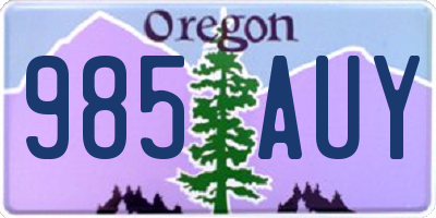 OR license plate 985AUY