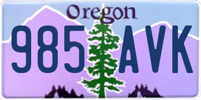 OR license plate 985AVK