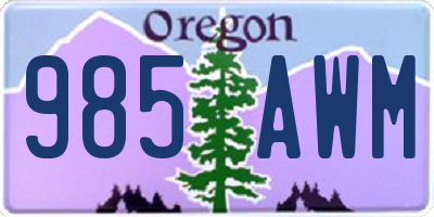 OR license plate 985AWM