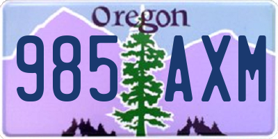 OR license plate 985AXM