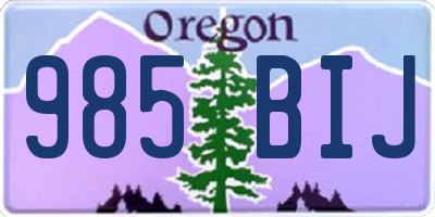 OR license plate 985BIJ