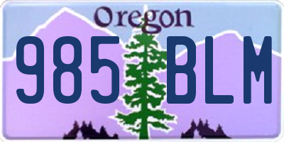 OR license plate 985BLM