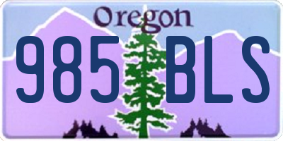 OR license plate 985BLS