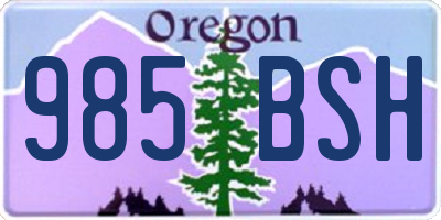 OR license plate 985BSH