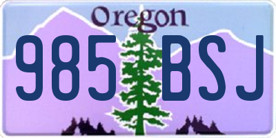 OR license plate 985BSJ