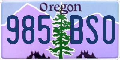 OR license plate 985BSO