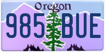 OR license plate 985BUE