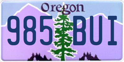 OR license plate 985BUI