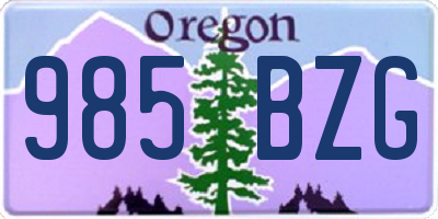 OR license plate 985BZG