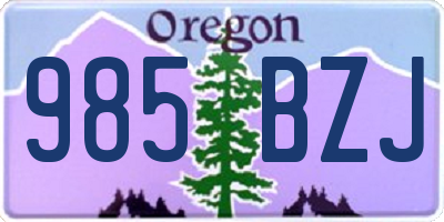 OR license plate 985BZJ