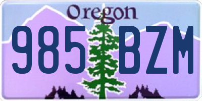 OR license plate 985BZM