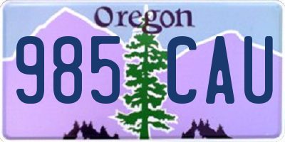 OR license plate 985CAU